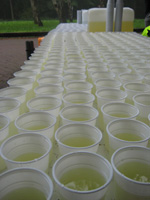 sportdrank